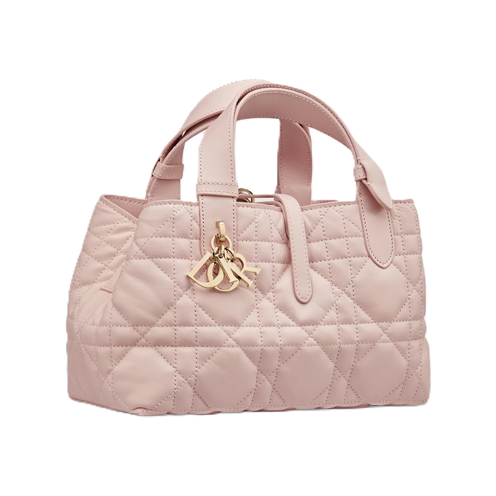디올 Toujours 스몰백 핑크