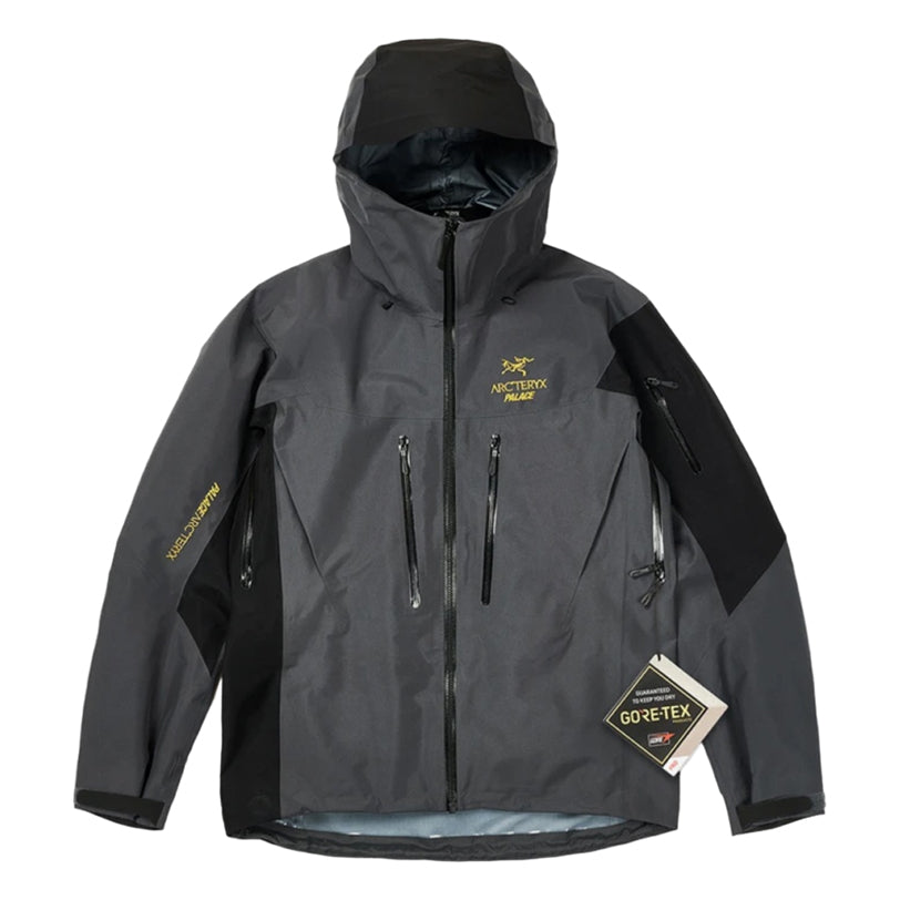 아크테릭스 x 팔라스 알파 SV 바람막이